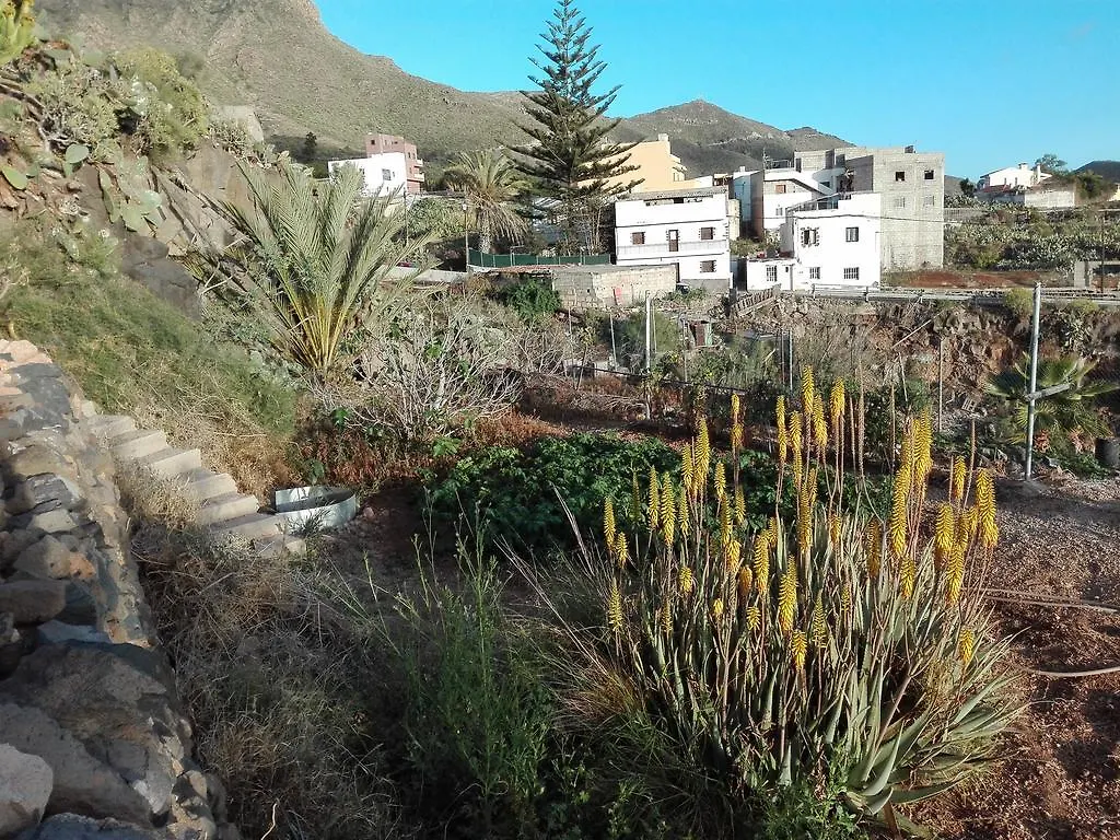Appartement Finca Patio Canario Arona