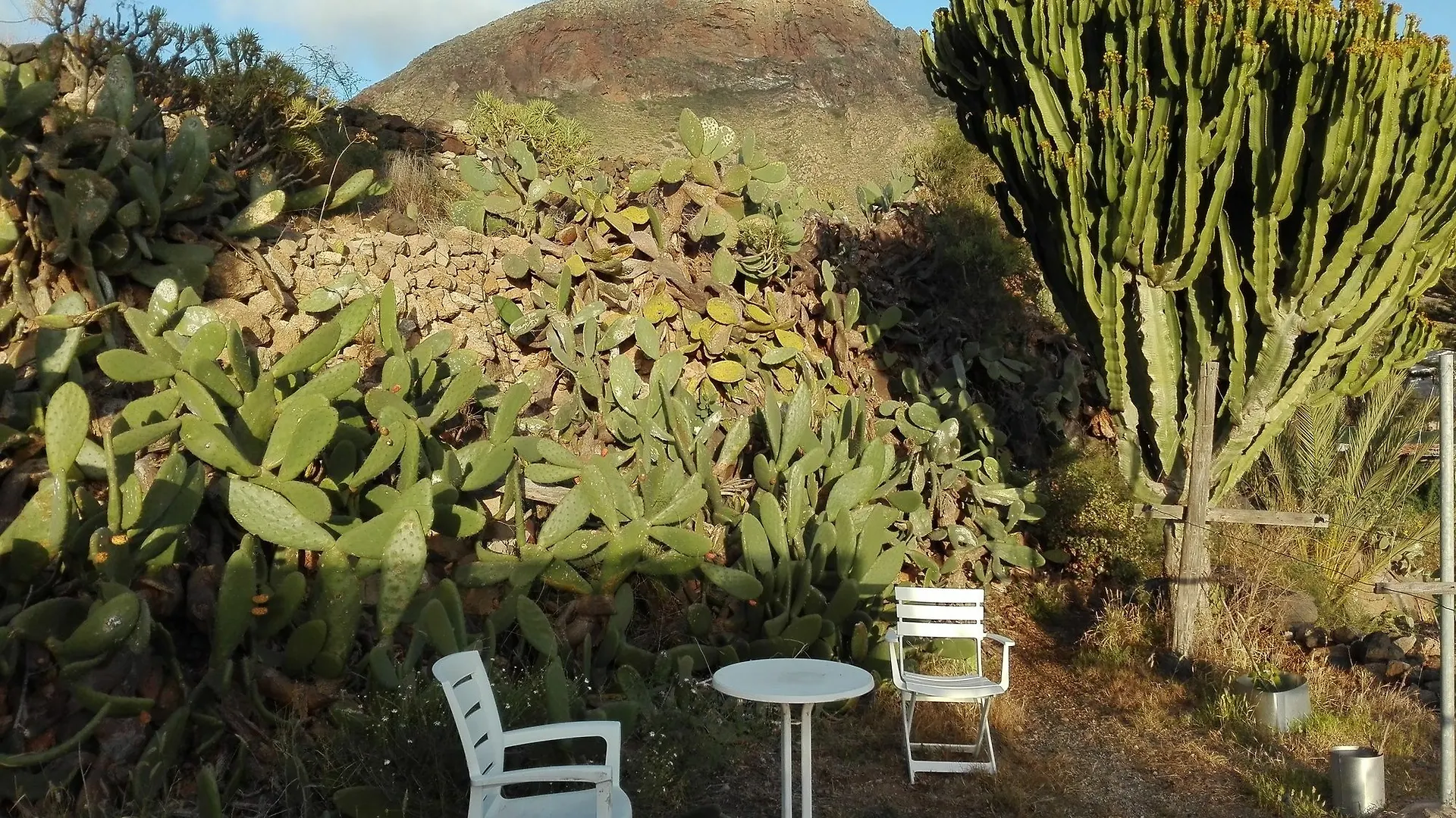Finca Patio Canario Arona  Appartement